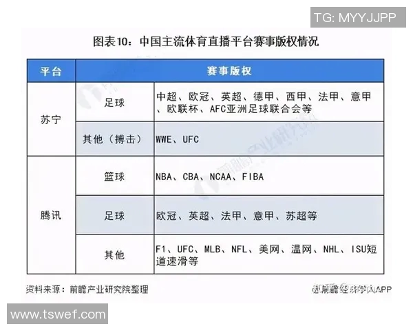 体育赛事衍生产品的创新发展与市场潜力分析探讨